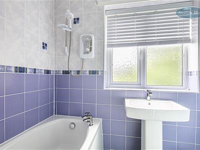 Picture 12